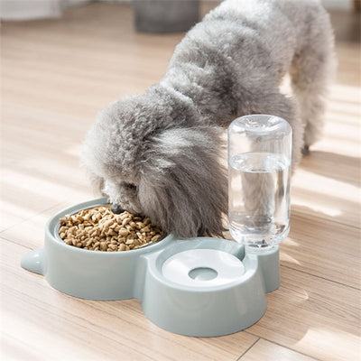 Dog bowl for dog and cat for feeding