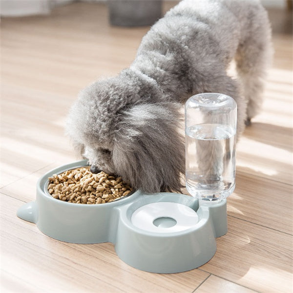 Dog bowl for dog and cat for feeding