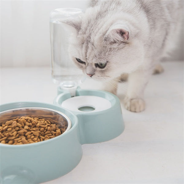 Dog bowl for dog and cat for feeding