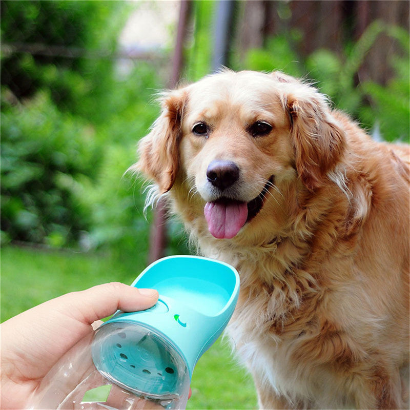 Un chien heureux devant une main tenant une bouteille d'eau portable pour animaux de compagnie à l'extérieur.